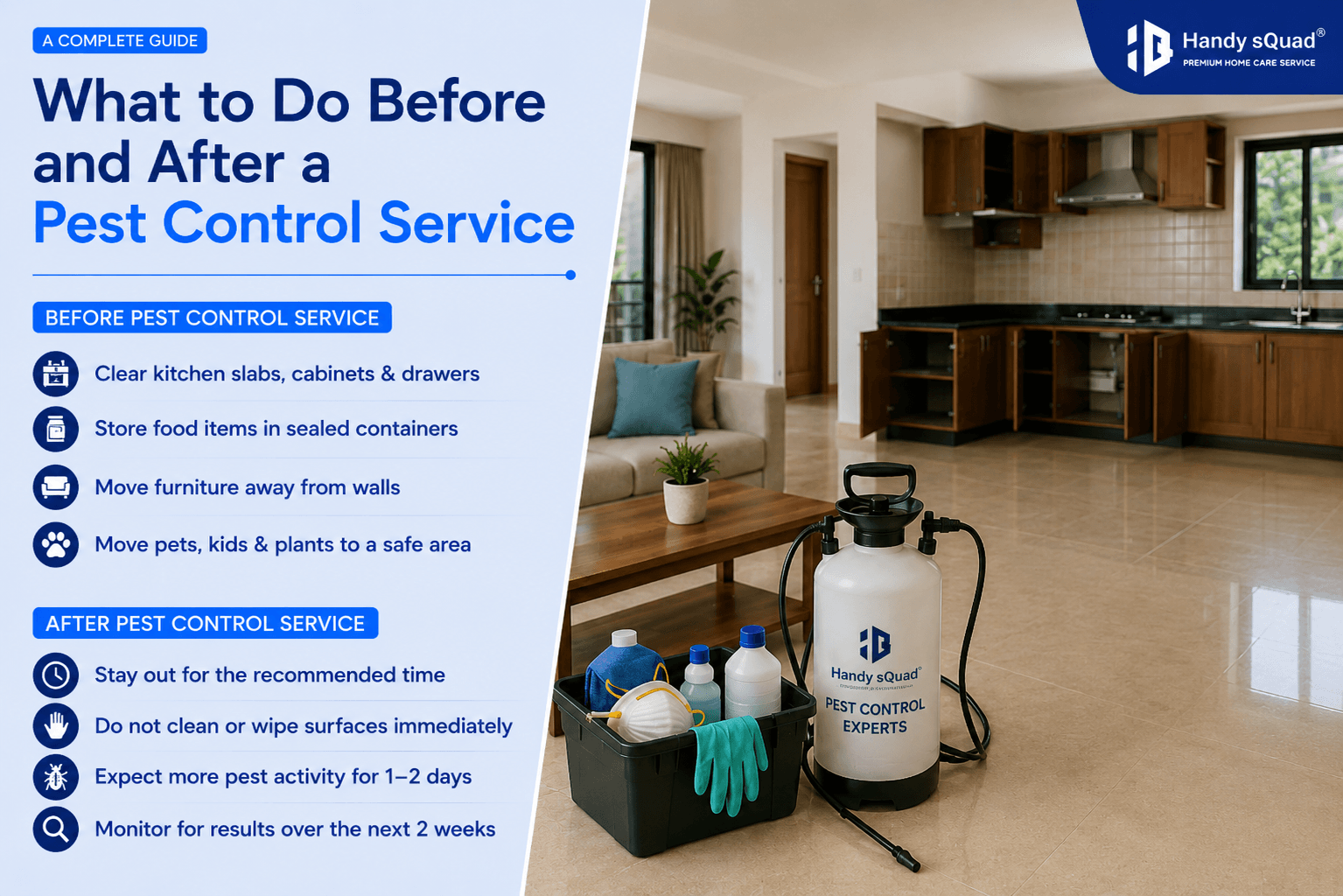 What to Do Before and After a Pest Control Service