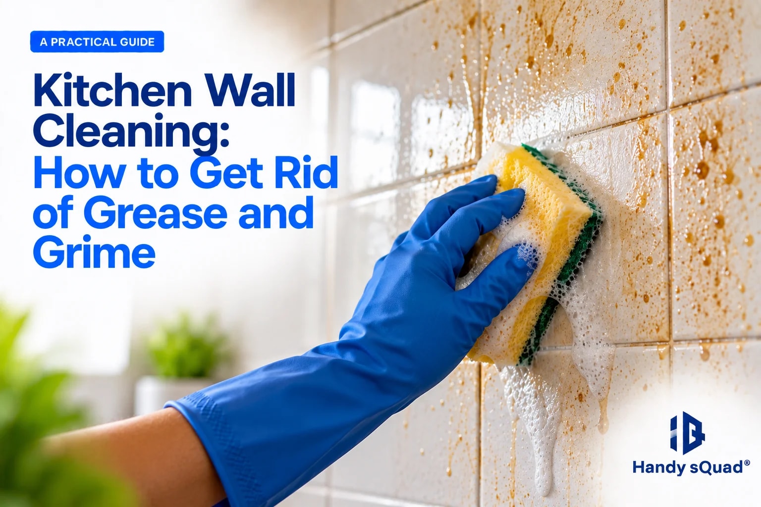 Kitchen Wall Cleaning Guide
