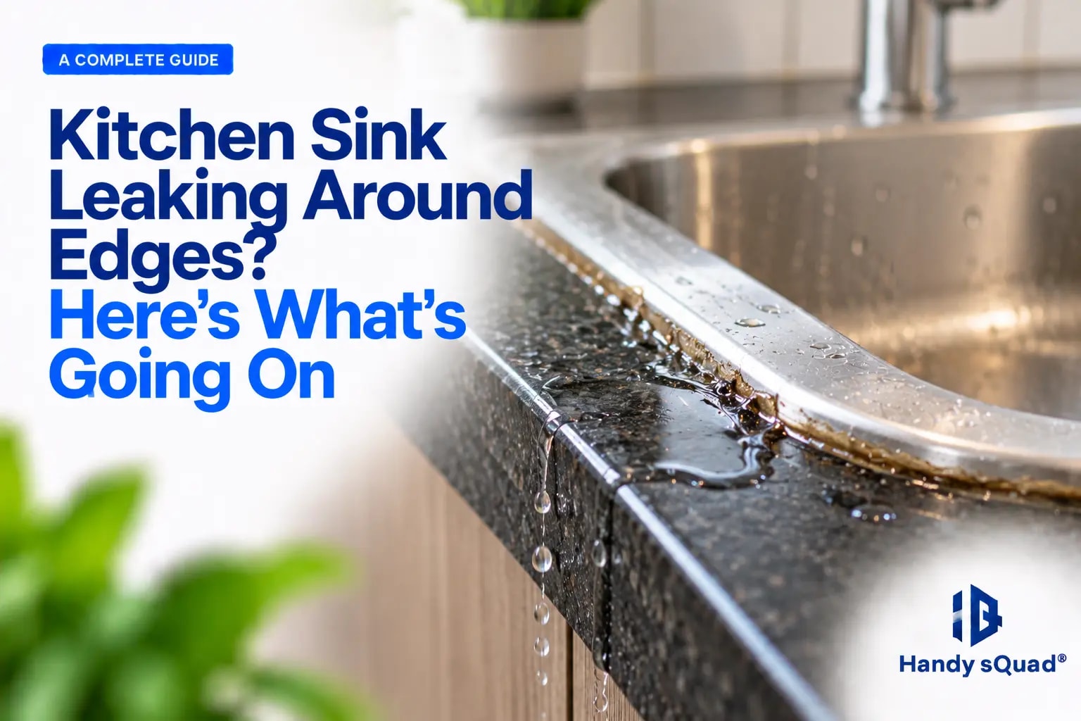Kitchen Sink Edges leakage