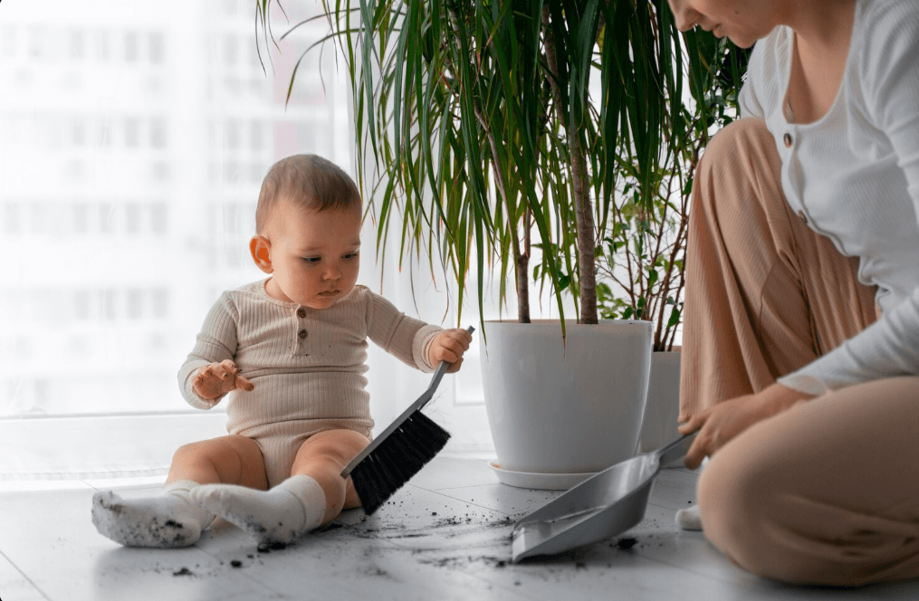 New born baby house cleaning