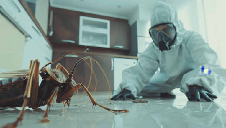 Full House Cockroach Treatment